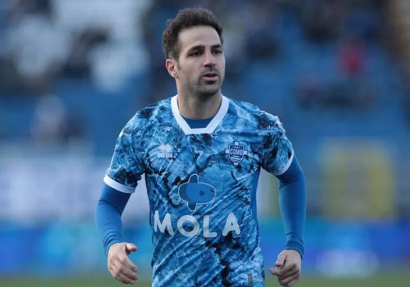 cesc fàbregas thống kê