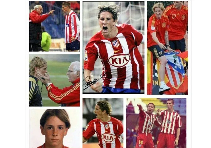 Tiểu sử Fernando Torres